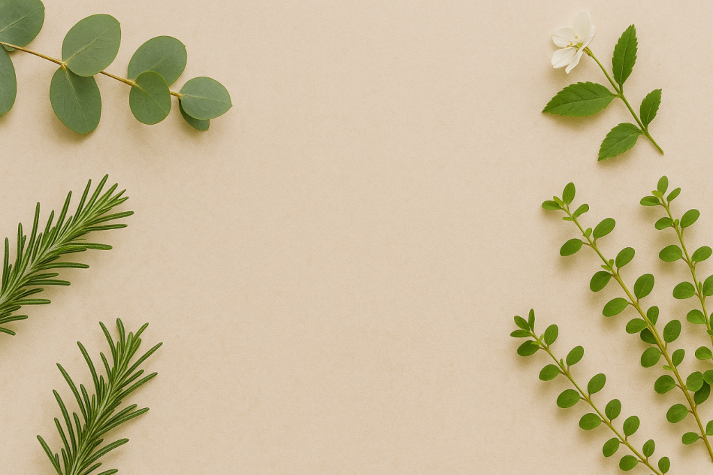 Acceuil Lunea Fond2 1024x682